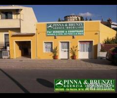 Riola sardo - PREZZO RIBASSATO - 10