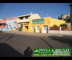 Riola sardo - PREZZO RIBASSATO - 12