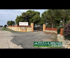 PUTZU IDU - locale LE SALINE - Ristorante Discotec