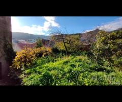 Santu Lussurgiu - Casa tipica del posto - 27