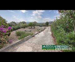 San teodoro - villa vista mare ampio terreno - 17