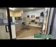 Zeddiani - locale Bar Pizzeria  PREZZO RIBASSATO - 12