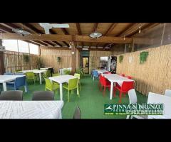 Zeddiani - locale Bar Pizzeria  PREZZO RIBASSATO - 14