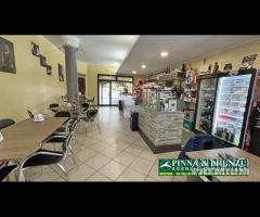 Zeddiani - locale Bar Pizzeria  PREZZO RIBASSATO - 19