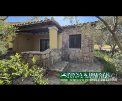 Porto San Paolo - VILLETTA Giardino - 13