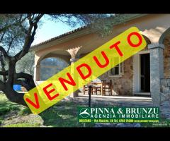 S TEODORO / SCHIFONI - VILLETTA