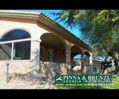 S TEODORO / SCHIFONI - VILLETTA