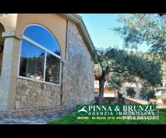 S TEODORO / SCHIFONI - VILLETTA