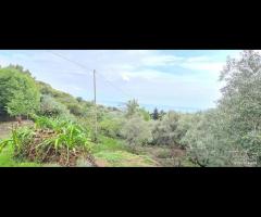 Casale panoramico con terreno a Montargano - 7