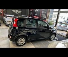 Fiat Panda 1.0 FireFly S&S Hybrid - 8