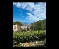 Appartamento nuovo a Barano d'Ischia loc. Fiaiano - 11