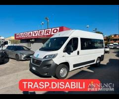 Fiat ducato 2.0 115cv e5 trasp disabili