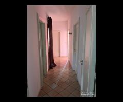 BAIA VERDE 3 CAMERE DA LETTO 2 BAGNI - 25