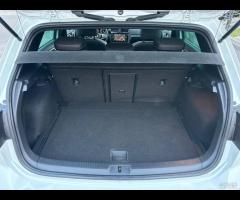 Volkswagen Golf GTI Golf GTI Performance 2.0 245 C - 29
