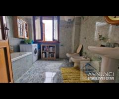 Genazzano, indipendente e terreno pianeggiante - 9