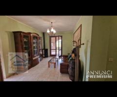 Genazzano, indipendente e terreno pianeggiante - 12