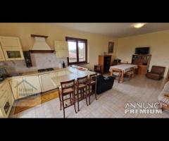 Genazzano, indipendente e terreno pianeggiante - 14