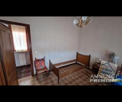 Cave, ampia con giardino e garage - 15