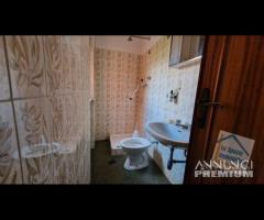 Cave, ampia con giardino e garage - 17