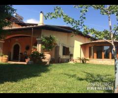 Genazzano, Unica nel suo Genere con terreno