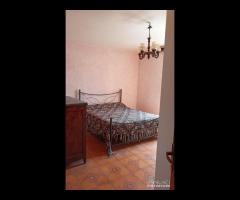 Piglio, piano terra con cantina Discreto stato - 8