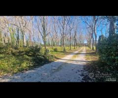 Cave, esclusivo nel suo genere - 7