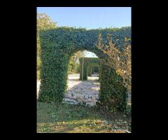 Cave, esclusivo nel suo genere - 12