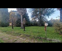 Cave, indipendente e terreno su unico livello - 6