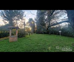 Cave, indipendente e terreno su unico livello - 7