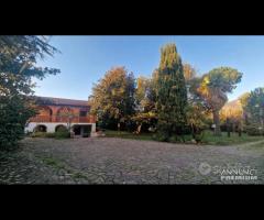 Cave, indipendente e terreno su unico livello - 9