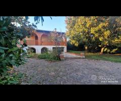 Cave, indipendente e terreno su unico livello - 10