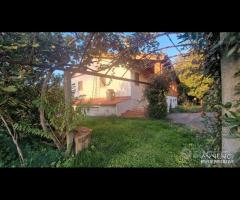 Cave, indipendente e terreno su unico livello - 12