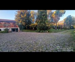 Cave, indipendente e terreno su unico livello - 13