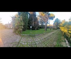 Cave, indipendente e terreno su unico livello - 15