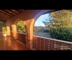 Cave, indipendente e terreno su unico livello - 16