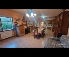 Cave, indipendente e terreno su unico livello - 17