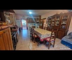 Cave, indipendente e terreno su unico livello - 18