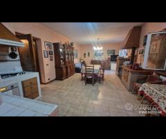 Cave, indipendente e terreno su unico livello - 21