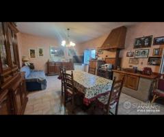 Cave, indipendente e terreno su unico livello - 22