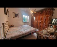 Cave, indipendente e terreno su unico livello - 24