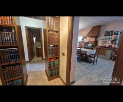 Cave, indipendente e terreno su unico livello - 26