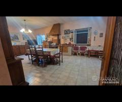 Cave, indipendente e terreno su unico livello - 28