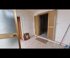 Colleferro al primo piano, con tinello e terreno