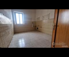 Colleferro al primo piano, con tinello e terreno - 14