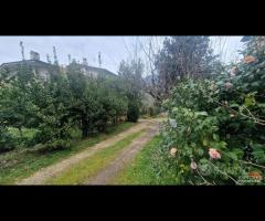 Cave, un piano terra con giardino, cantina - 23