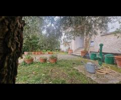 Cave, un piano terra con giardino, cantina - 24