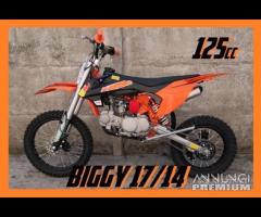 NUOVE Pit Bike 125 / 140 REPLICA REDBULL 17/14