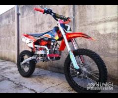 NUOVE Pit Bike 125 / 140 REPLICA REDBULL 17/14