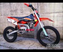 NUOVE Pit Bike 125 / 140 REPLICA REDBULL 17/14