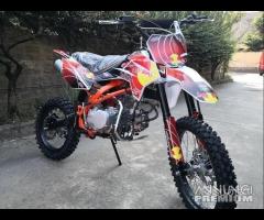 Moto pit bike 125 r17/14 sx redbull a rate da